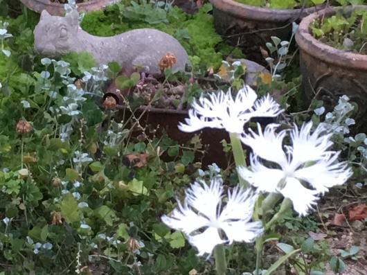 b0336787_23231158.jpeg
