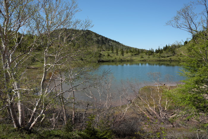 b0339488_16104589.jpg