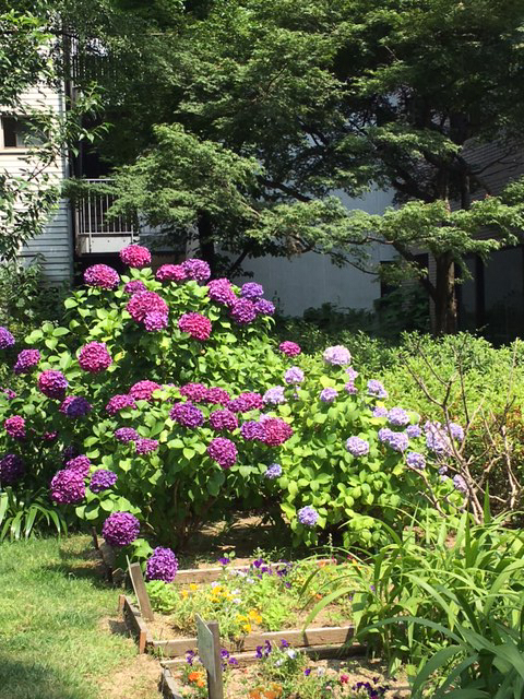 d0360391_21235646.jpg