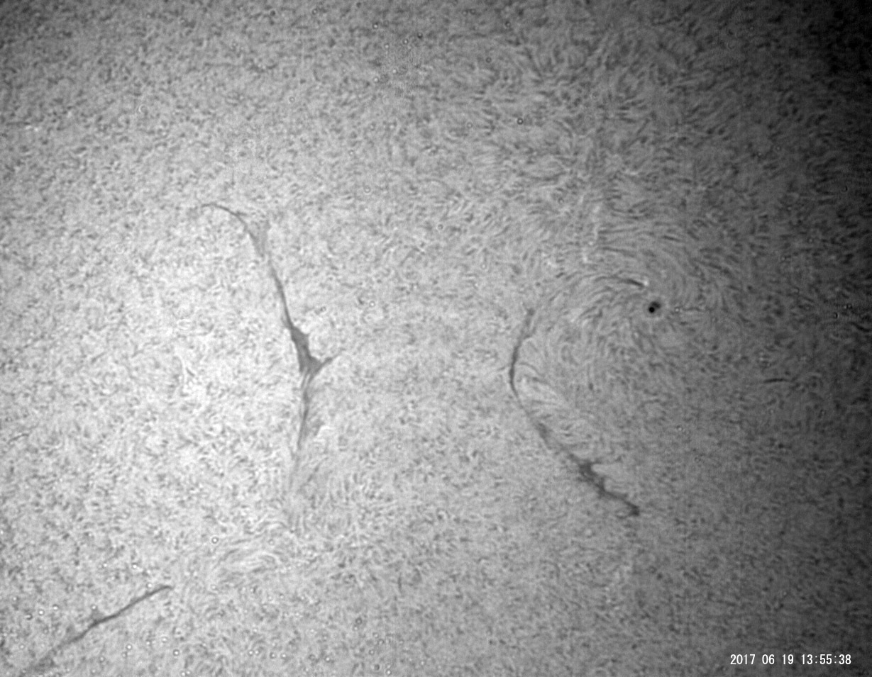 6月19日の太陽_e0174091_15381445.jpg