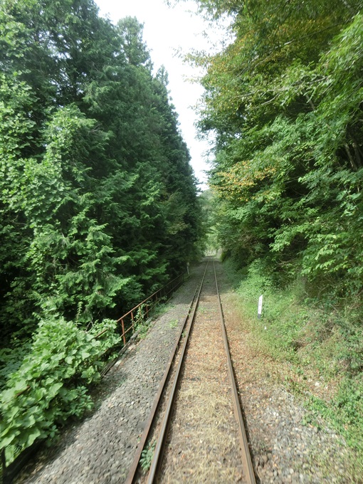 d0004301_20364227.jpg