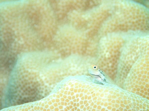 f0121701_14505084.jpg