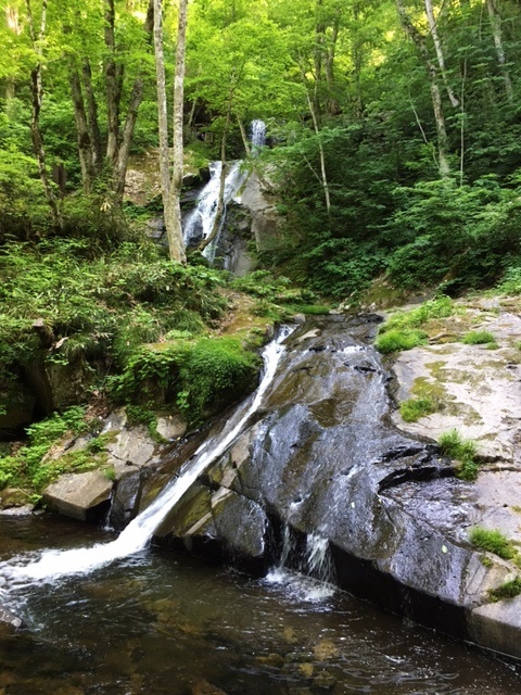 a0123003_10351921.jpg