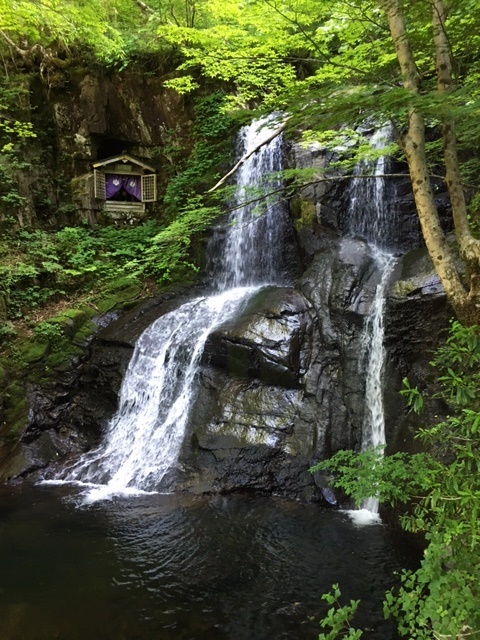 a0123003_10354311.jpg