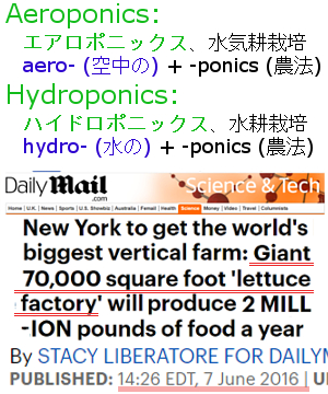 『エアロファームス』(AeroFarms)の夢の野菜『ドリーム・グリーン』(Dream Green)_b0007805_2264398.jpg
