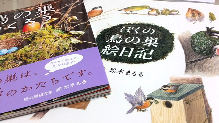 鳥の巣作りたい。_d0080906_20541662.jpg