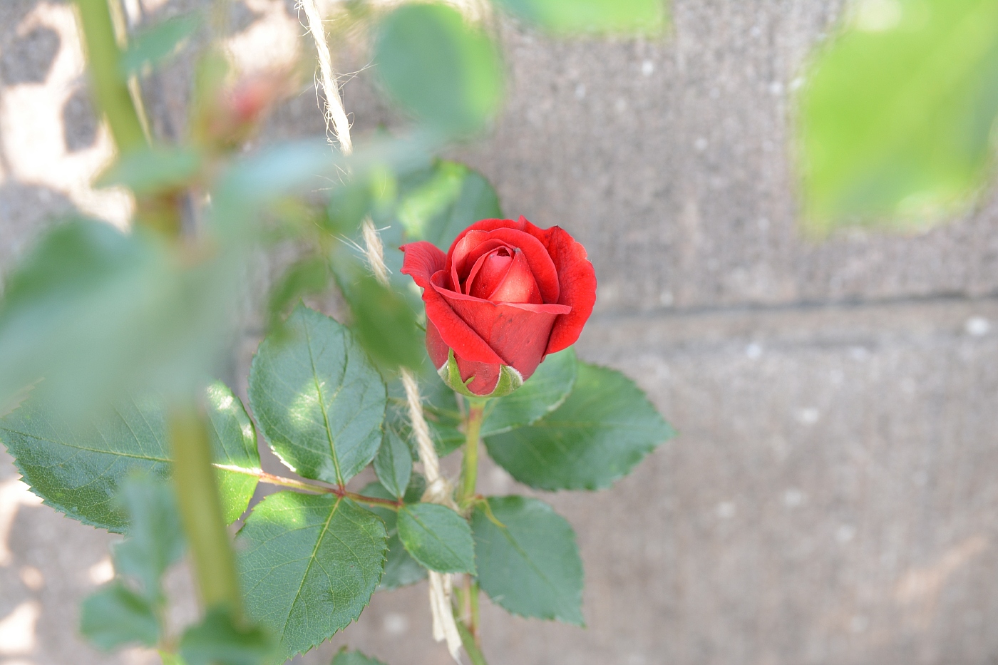 a0248508_710565.jpg
