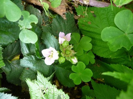 f0221708_14165259.jpg