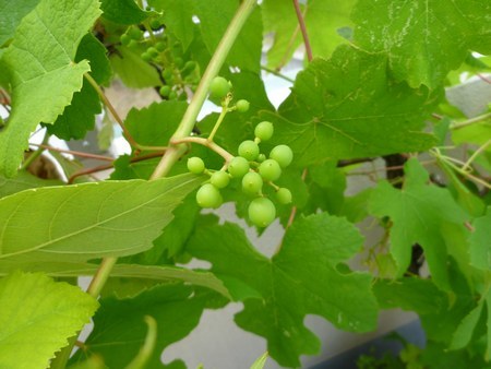 f0221708_14204405.jpg