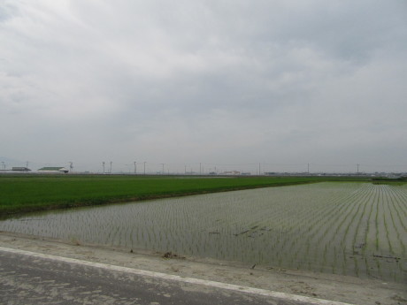 f0231709_21305179.jpg