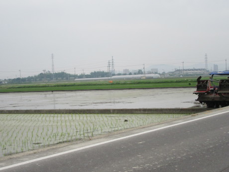 f0231709_21314156.jpg