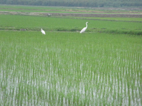 f0231709_21321860.jpg
