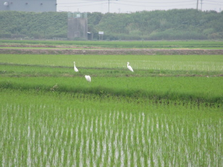 f0231709_21330729.jpg