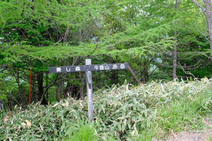 一人登山 南八ヶ岳 その1_e0000910_07265019.jpg
