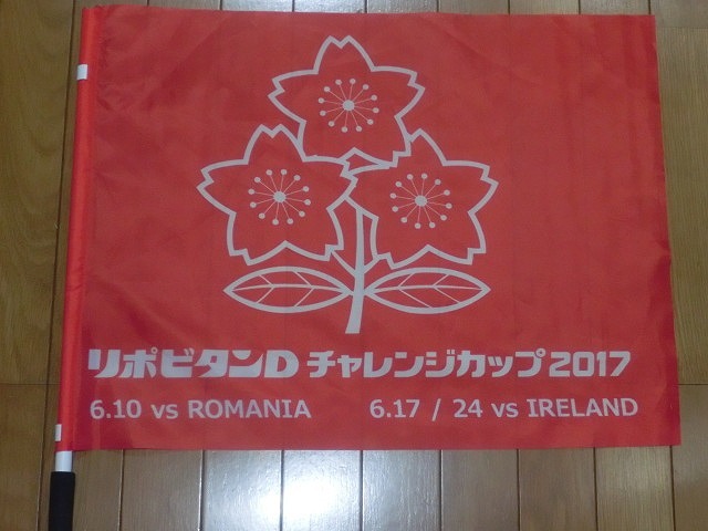日本は22-50で完敗 「日本VSアイルランド」 24日(土)の第2戦は緊迫したゲームを期待_f0141310_07254492.jpg