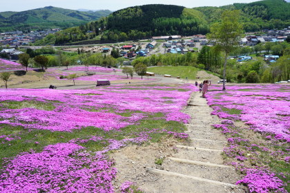 滝上公園の芝桜！を！_d0200811_21255653.jpg