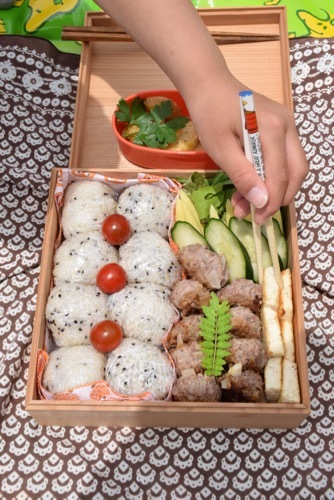 お弁当を詰めるのは収納作業_a0284626_15555093.jpg