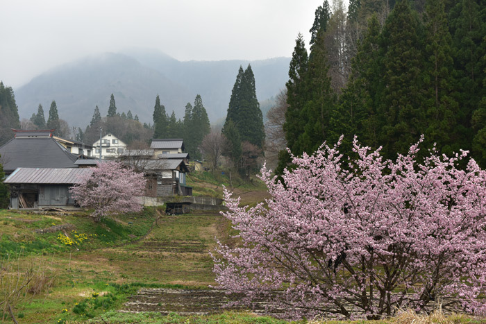 2017-4~6-(その5) 春・信州∼東北地方のくるま旅【 白馬編】_a0216227_22281072.jpg