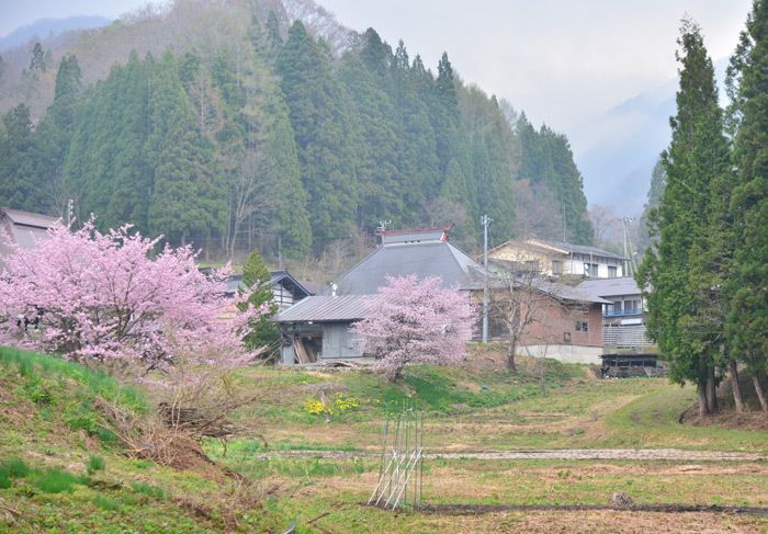 2017-4~6-(その5) 春・信州∼東北地方のくるま旅【 白馬編】_a0216227_22315804.jpg