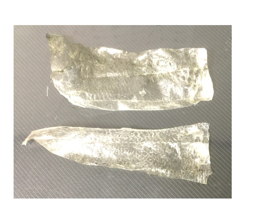 アジ皮サビキ仕掛け 新 直哉の釣り魚料理