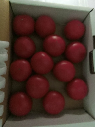 e0303431_19584772.jpg