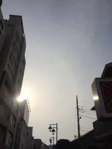 f0327534_17080688.jpg
