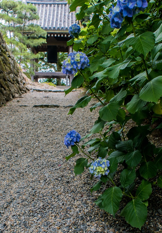 e0363038_10274476.jpg