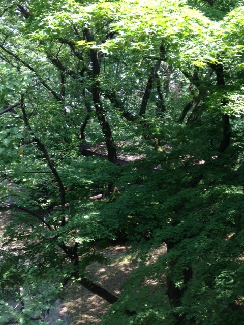 a0116439_14291855.jpg