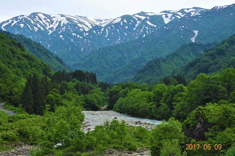 e0371039_10252089.gif