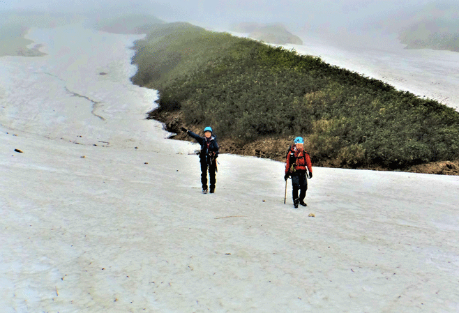 e0371039_10265674.gif