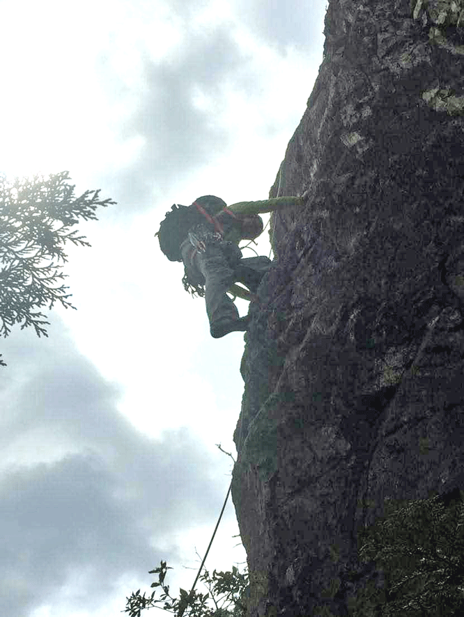 e0371039_17353753.gif