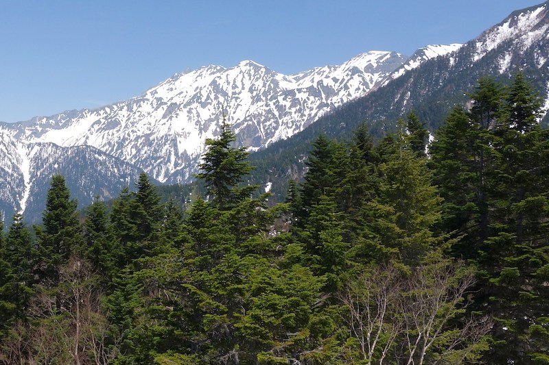 b0325549_16063266.jpg