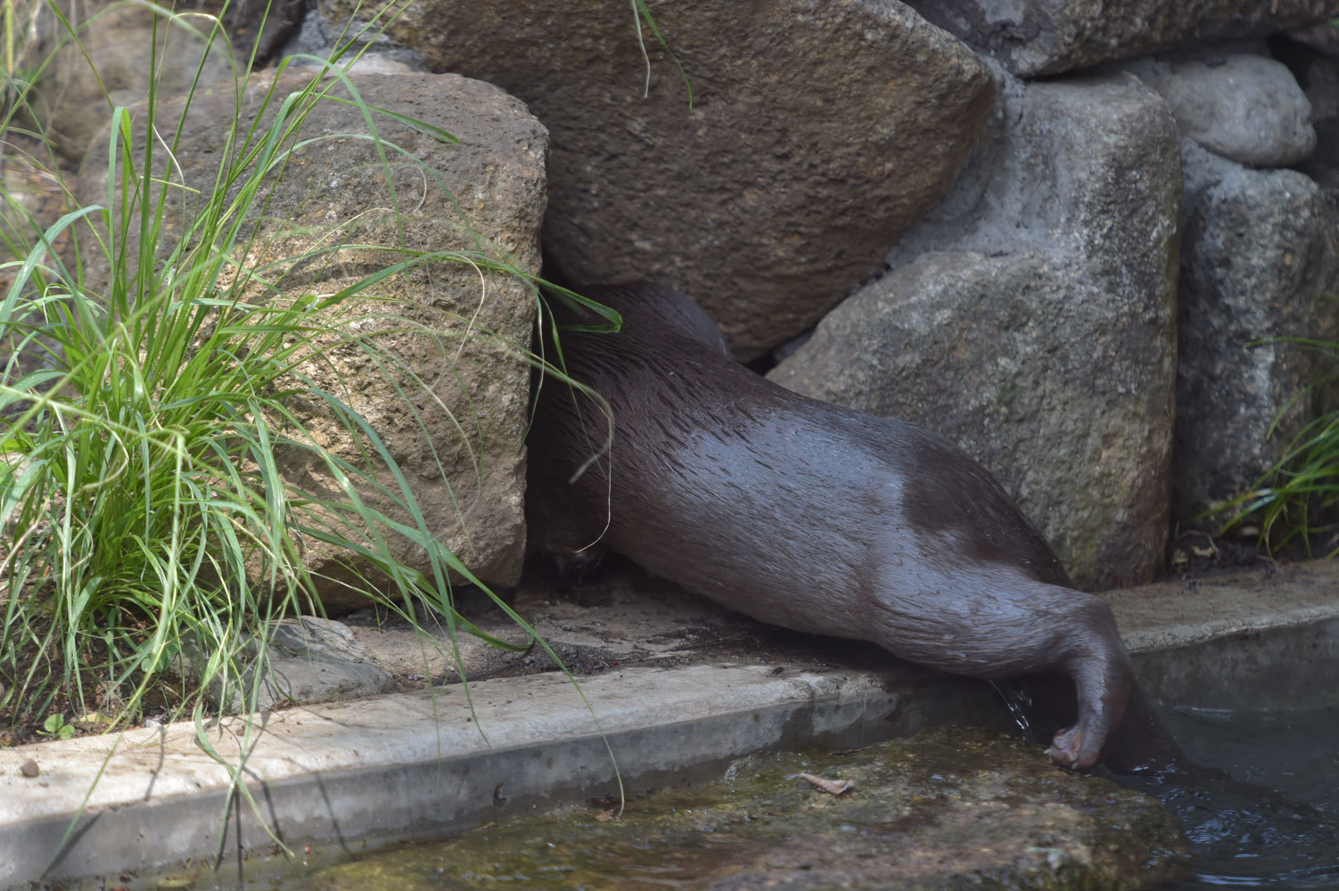 やっと会えた。_b0023856_07081083.jpg