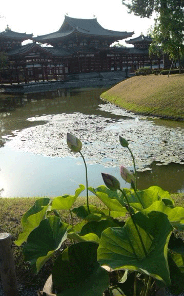 e0001558_10062253.gif