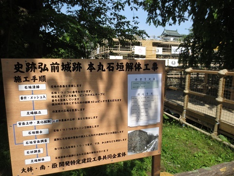 本日の岩木山&弘前公園~スイレンとコウホネ~_d0131668_17062224.jpg