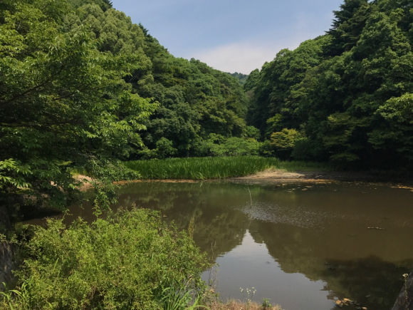 e0024081_17362029.jpg
