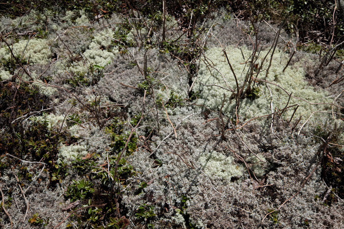 b0339488_19015212.jpg