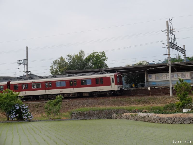 電車が来た_c0152690_21132616.jpg