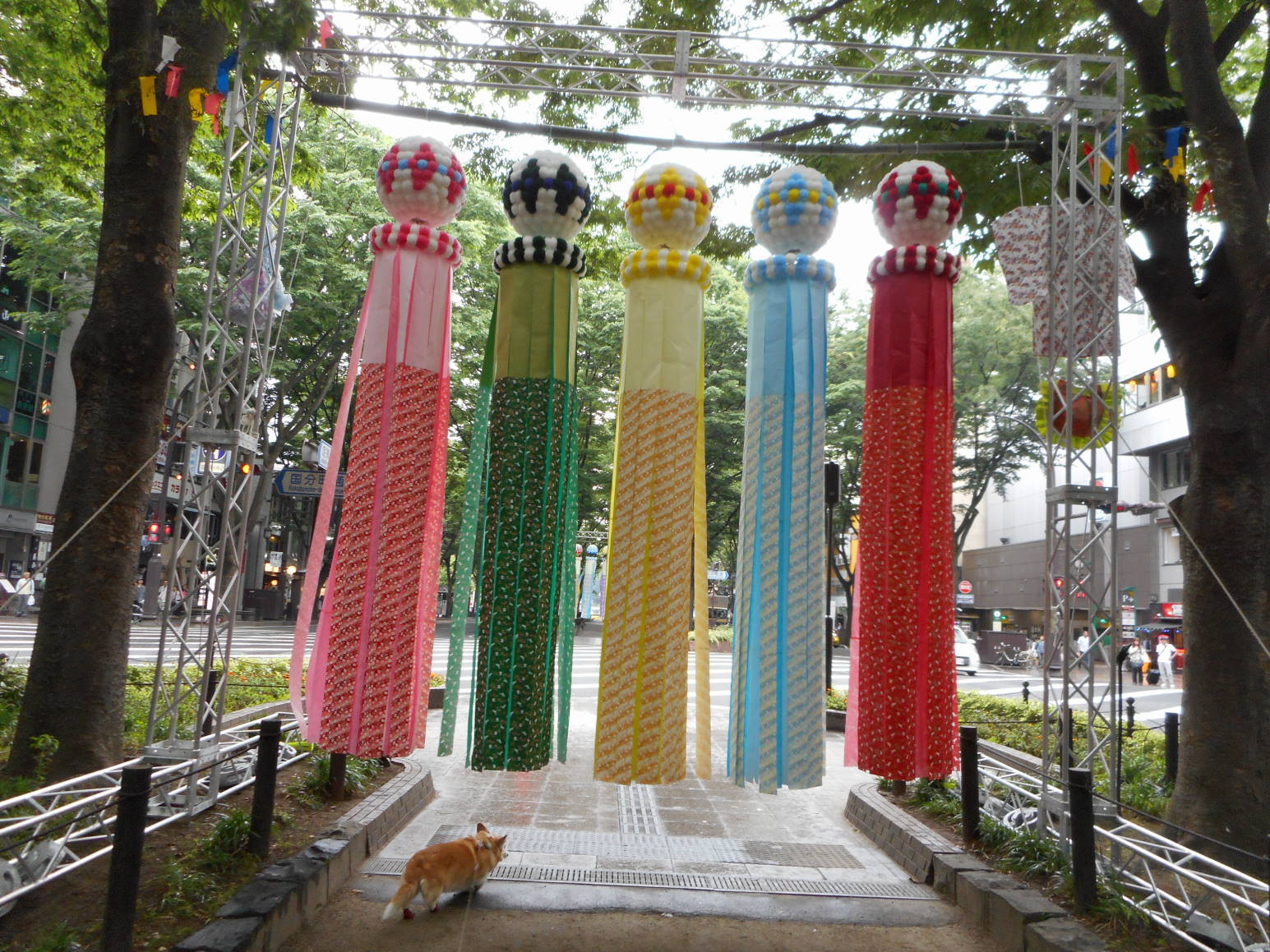 f0075595_23064912.jpg