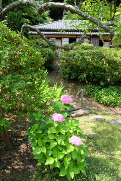 c0339296_20102422.jpg