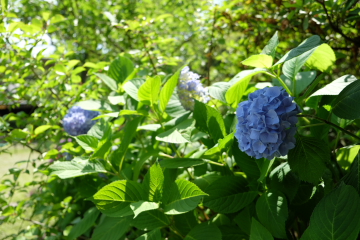 c0339296_20103332.jpg