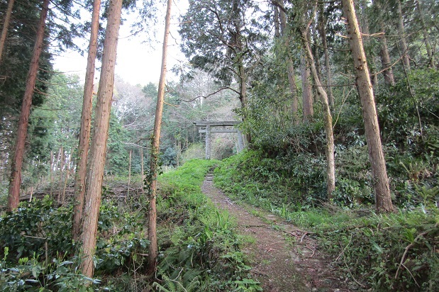 因幡国高草郡　天穂日命一族を祭る社_e0354697_20343652.jpg