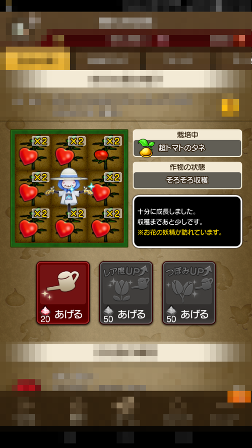 超トマト種の罠 まるねた ドラクエ10 超トマト種の罠 まるねた ドラクエ10