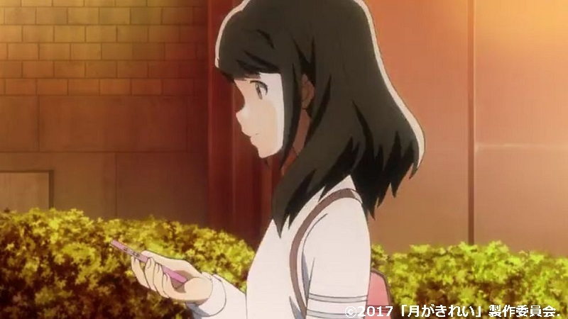 「月がきれい」舞台探訪010 川越市その8(第10話-2 川越祭りとその後のこと)_e0304702_20122861.jpg