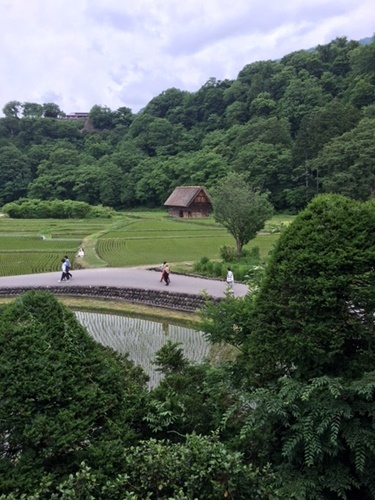 a0123003_12084059.jpg