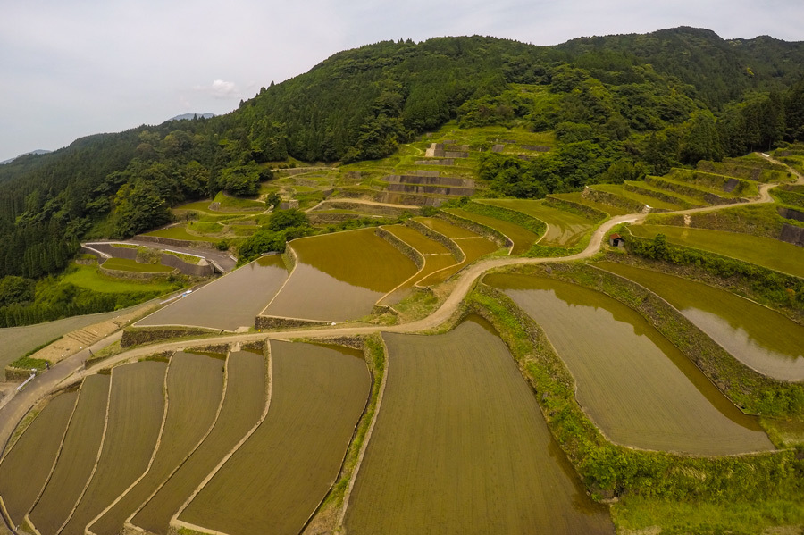 蕨野の棚田(動画あり)_e0093903_12241239.jpg