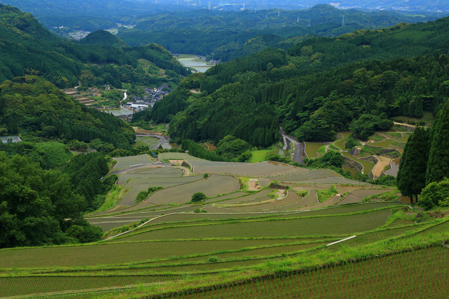 蕨野の棚田(動画あり)_e0093903_12242526.jpg