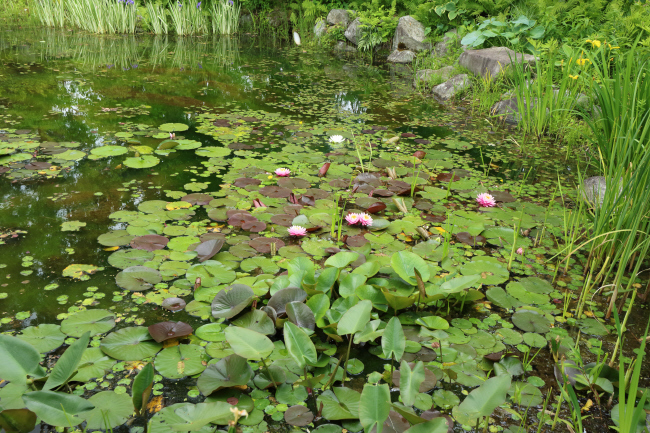 a0357206_22093559.jpg