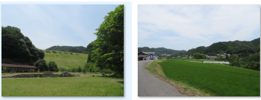f0231709_13292991.png