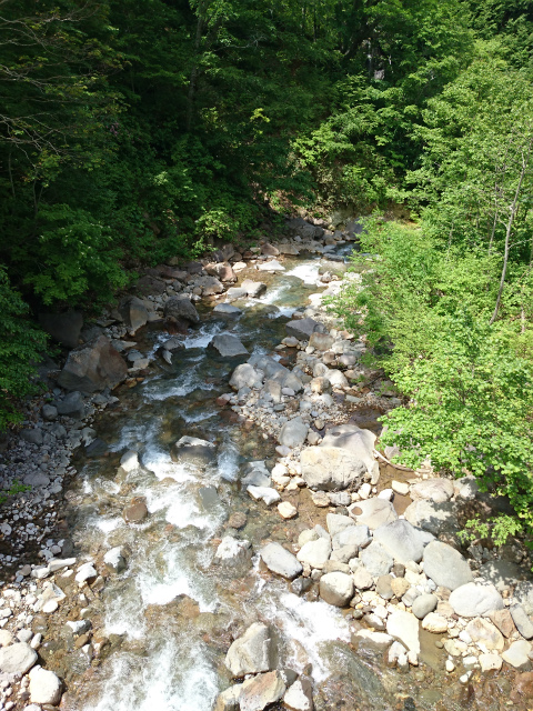 f0100911_22123791.jpg